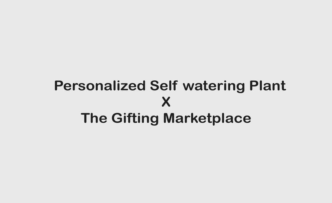 Personalized Self-Watering Plants – The Perfect Eco-Friendly Birthday Return Gift