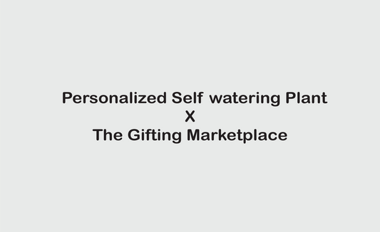 Personalized Self-Watering Plants – The Perfect Eco-Friendly Birthday Return Gift