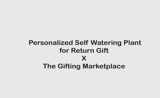 Personalized Self-Watering Plant – A Thoughtful Return Gift That Lasts