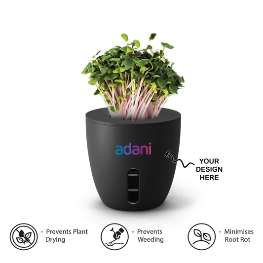 Personalized Self Watering Plant Pot - For Employee Joining Kit, Corporate Gifting, Return Gift, Event Gifts, Promotional Gifting XT55