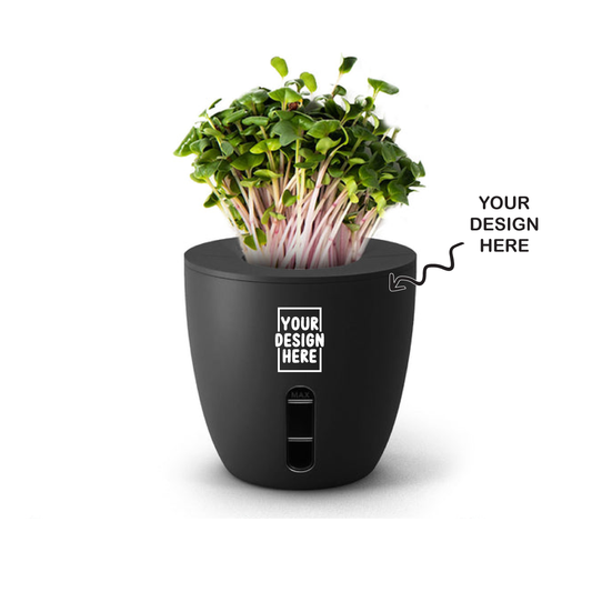 Personalized Self Watering Plant Pot - For Employee Joining Kit, Corporate Gifting, Return Gift, Event Gifts, Promotional Gifting XT55